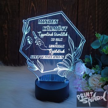  Printshark egyedi ajándék