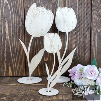  Printshark egyedi ajándék